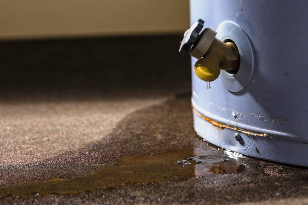 Best Water damage restoration near me  in Hoschton, GA