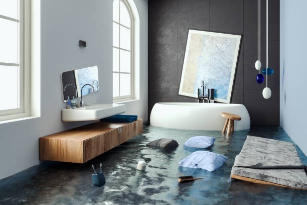 Best Water damage restoration process  in Hoschton, GA