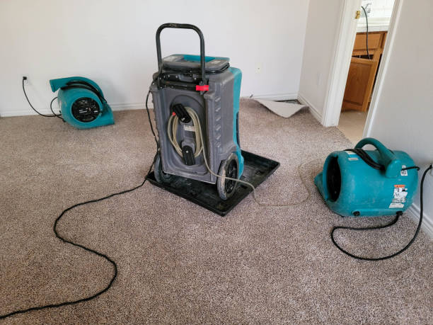 Best 24/7 water damage repair  in Hoschton, GA