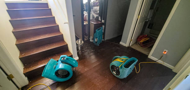 Best Local water damage restoration  in Hoschton, GA