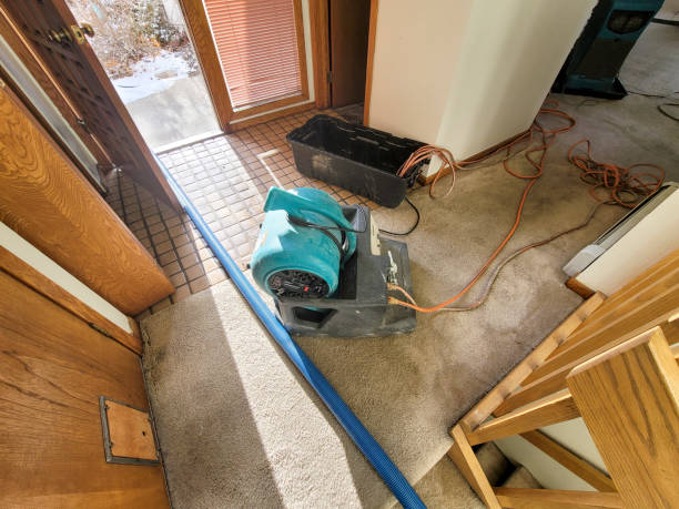 Best Emergency water damage restoration  in Hoschton, GA
