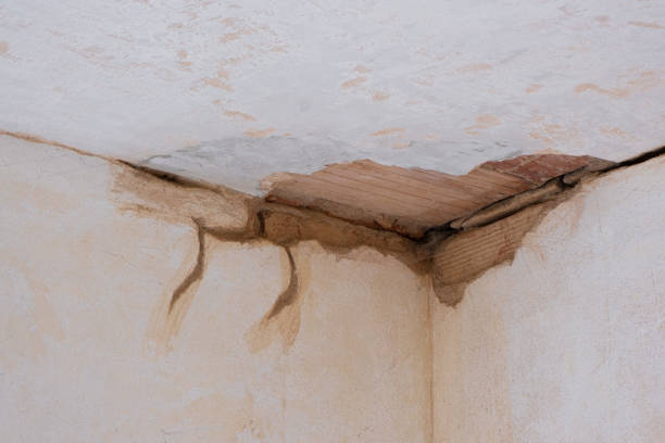 Best Water damage restoration near me  in Hoschton, GA