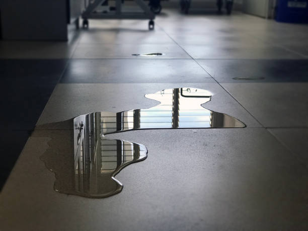Best Water damage restoration company  in Hoschton, GA