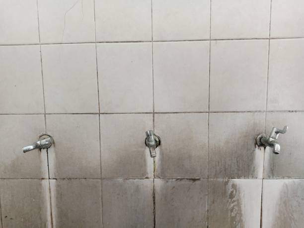 Best Water damage restoration near me  in Hoschton, GA