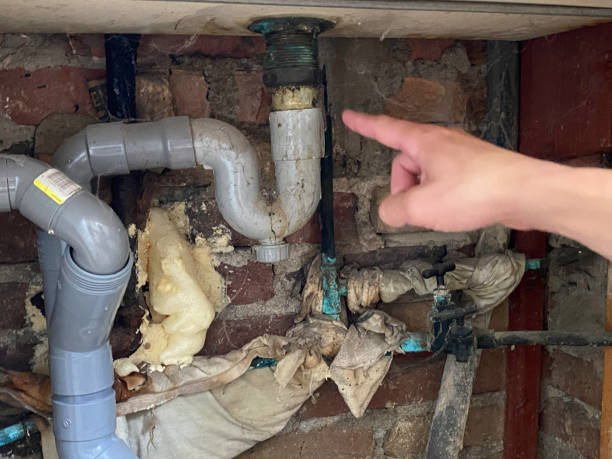 Best Basement water damage restoration  in Hoschton, GA
