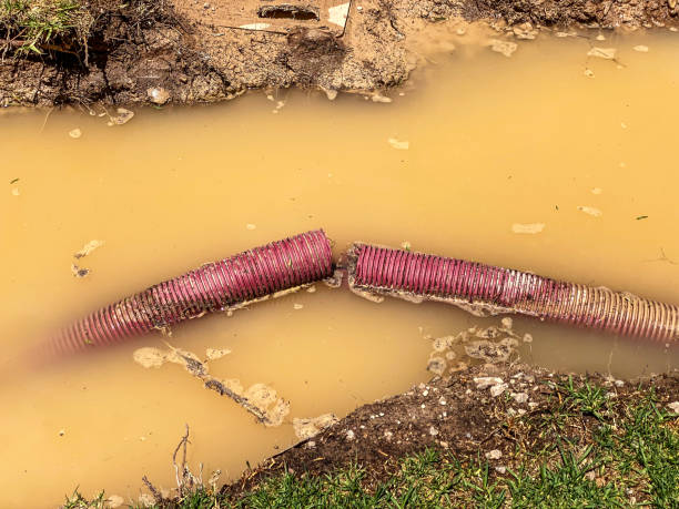 Best Basement water damage restoration  in Hoschton, GA