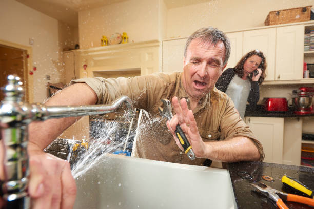 Best Flood restoration services  in Hoschton, GA
